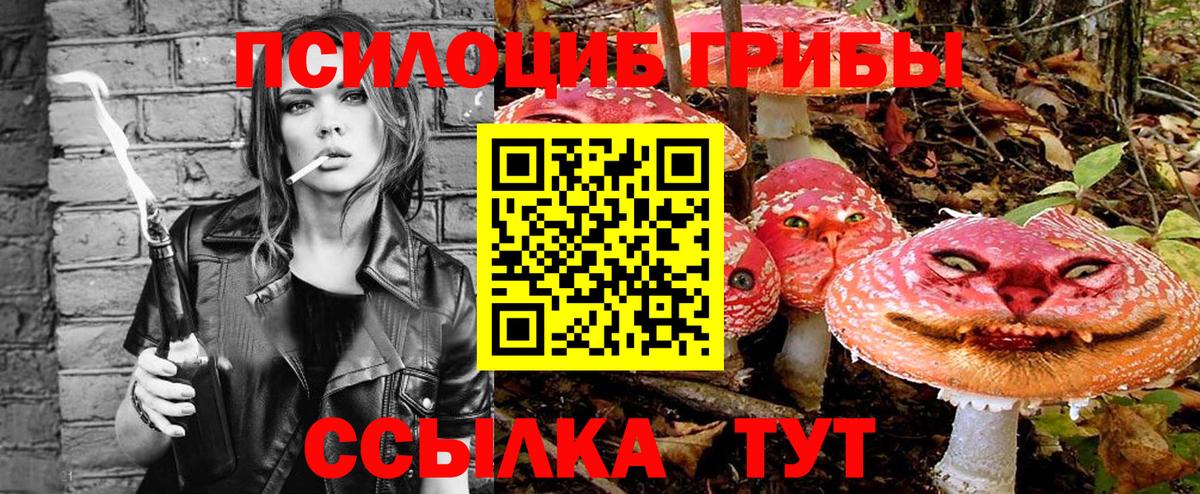 Галлюциногенные грибы мицелий  Галлюциногенные грибы прущие грибы  Рыбинск  Вход с VPN 