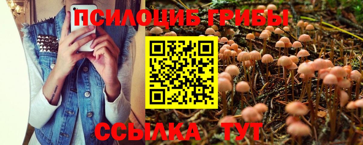 Псилоцибиновые грибы MAGIC MUSHROOMS Рыбинск